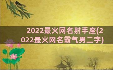 2022最火网名射手座(2022最火网名霸气男二字)