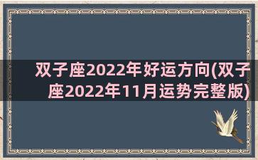 双子座2022年好运方向(双子座2022年11月运势完整版)