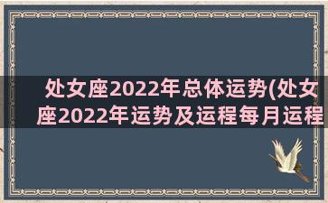 处女座2022年总体运势(处女座2022年运势及运程每月运程)