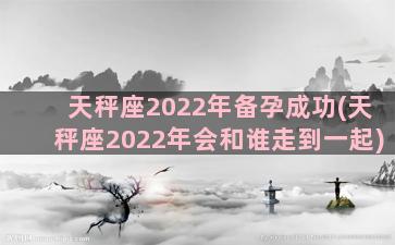 天秤座2022年备孕成功(天秤座2022年会和谁走到一起)