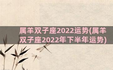 属羊双子座2022运势(属羊双子座2022年下半年运势)