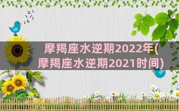 摩羯座水逆期2022年(摩羯座水逆期2021时间)